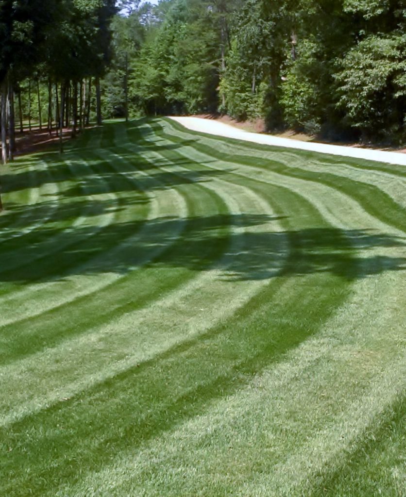 Fresh mowed lawn with the help of our commercial landscape maintenance team.