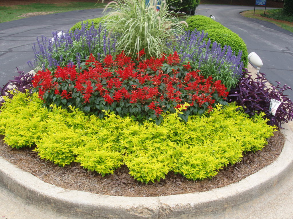 Wide shot of a flowerbed installed by our commercial landscape design team.