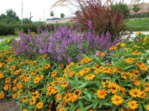 Commercial landscape design services featuring a flowerbed.