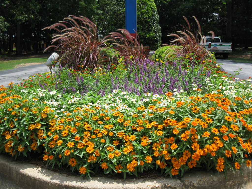 Commercial landscape design showing a flowerbed.